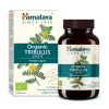 Tribulus