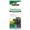 Sambucus