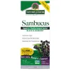 Sambucus
