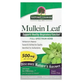 Mullein Leaf