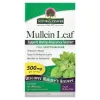 Mullein Leaf