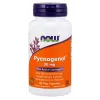 Pycnogenol