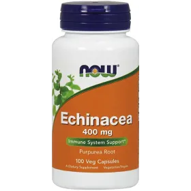 Echinacea