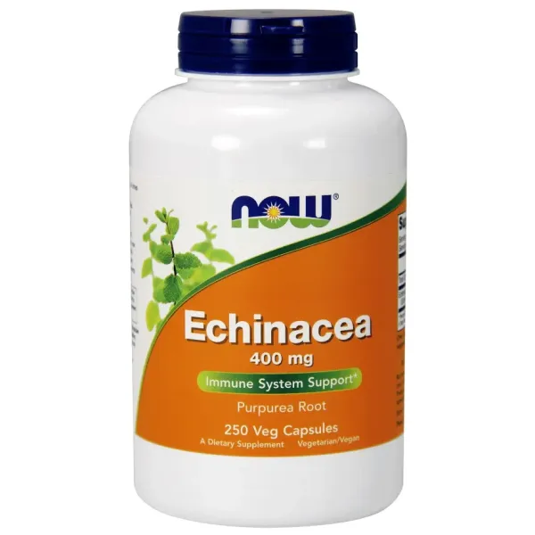 Echinacea