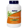 Echinacea