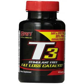 T3