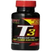 T3