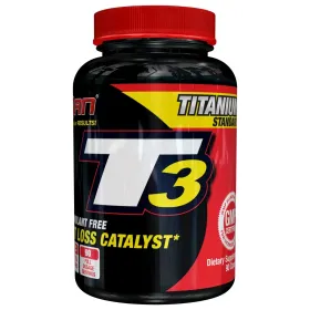 T3