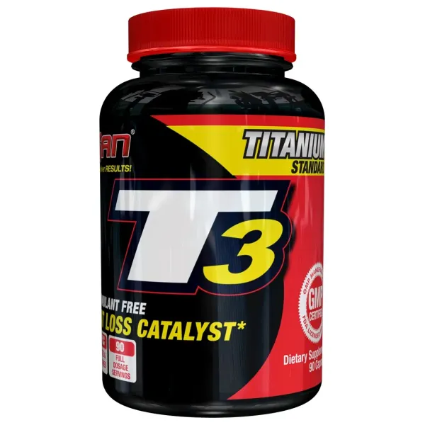 T3