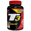 T3