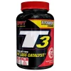 T3