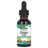 Ginger Root, 1000mg