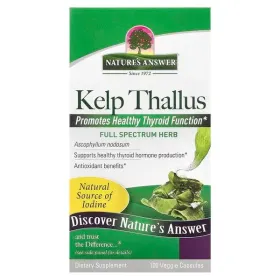 Kelp Thallus