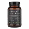 Lion's Mane Extract