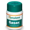 Gasex