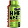 HMB 4500