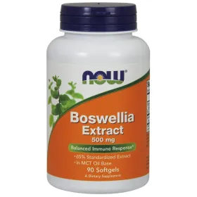 Boswellia Extract, 500mg