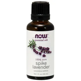 Essential Oil, Spike Lavender