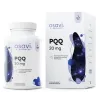 PQQ
