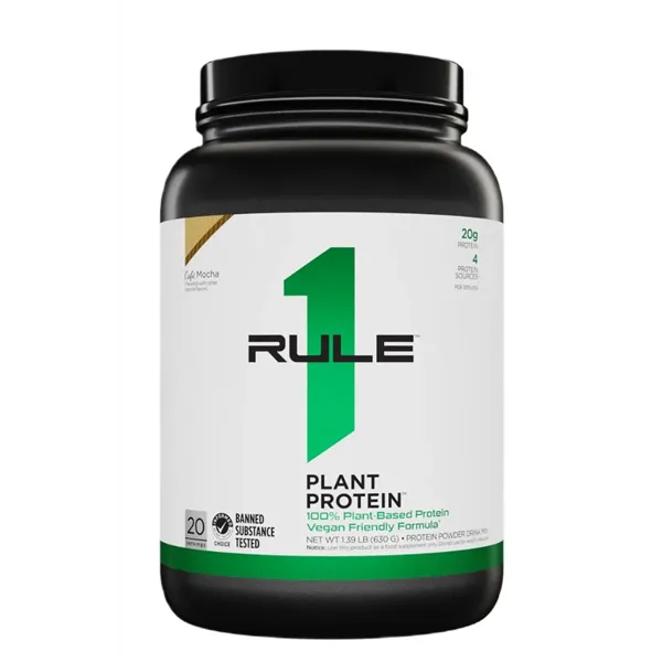 Plant Protein