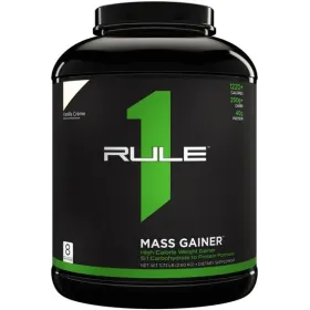 Mass Gainer