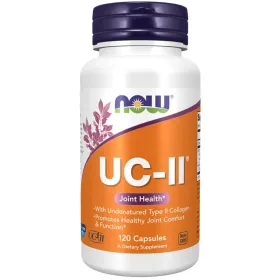 UC-II Undenatured Type II Collagen