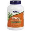 EGCg Green Tea Extract