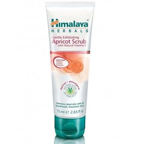 Gentle Exfoliating Apricot Scrub
